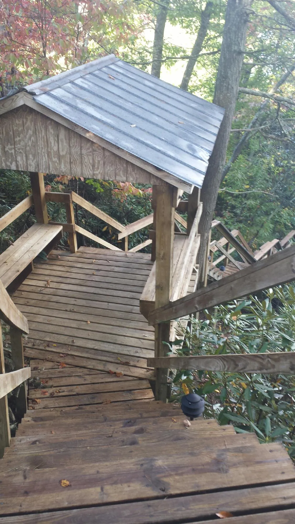 Metal roofed shelter over wooden steps on a wooded walkway — Skylight Repair & Installation work by our crew in Fremont